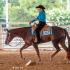 West Tennessee Quarter Horse Association Summer Circuit